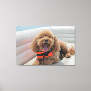 Happy Cockapoo Hund auf Pontoon Boat lächeln Leinwanddruck
