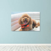 Happy Cockapoo Hund auf Pontoon Boat lächeln Leinwanddruck (Insitu (Holzboden))