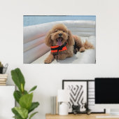 Happy Cockapoo Hund auf Pontoon Boat lächeln Poster (Heimbüro)