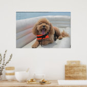 Happy Cockapoo Hund auf Pontoon Boat lächeln Poster (Küche)