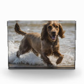 Happy Cocker Spaniel Beach Fun Day Fotoblock (Vorderseite)