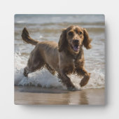 Happy Cocker Spaniel Beach Fun Day Fotoplatte (Vorderseite)