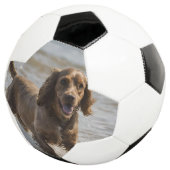 Happy Cocker Spaniel Beach Fun Day Fußball (Dreiviertel)