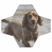 Happy Cocker Spaniel Beach Fun Day Fußball (Flach)