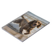 Happy Cocker Spaniel Beach Fun Day Notizblock (Linke Seite)