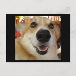 Happy Corgi Postcard Postkarte