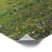 Happy Cows on Farm in Switzerland Poster (Ecke)