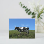 Happy Cows Postcard Postkarte (Stehend Vorderseite)