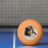 Happy-Dach Tischtennisball (Netto)