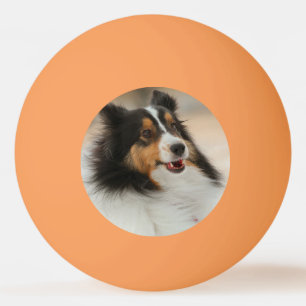 Happy-Dach Tischtennisball