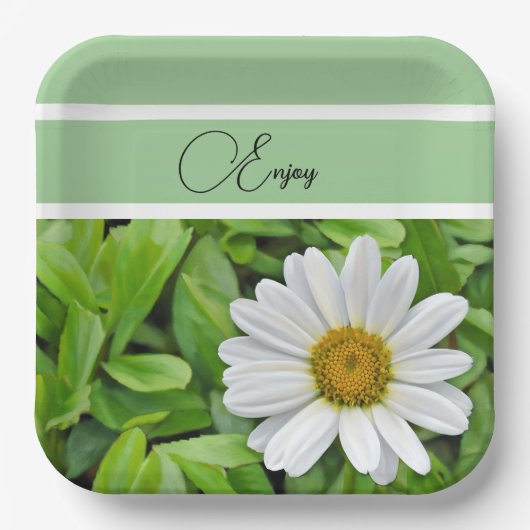 Happy Daisy - Papierplatte Pappteller (Vorderseite)