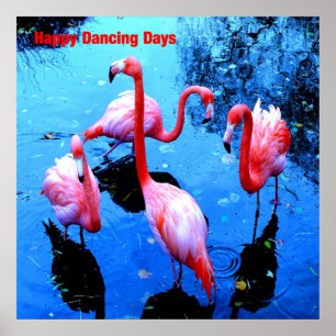 Happy Dancing Days flamingos Poster