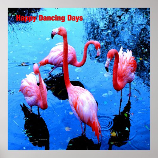 Happy Dancing Days flamingos Poster (Vorne)