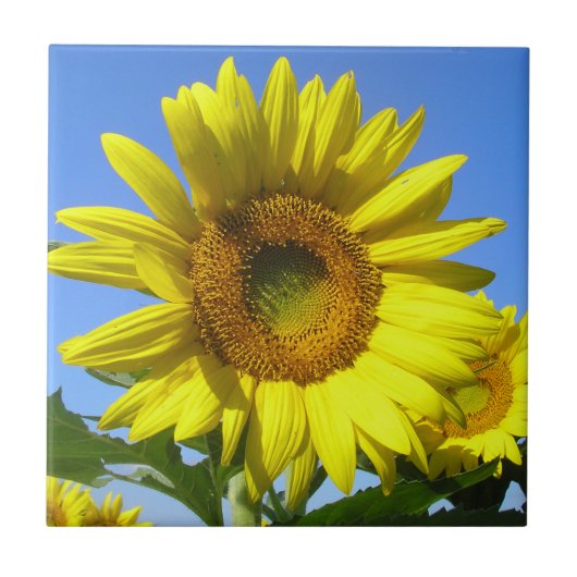 "Happy Day" Fliese (Vorderseite)