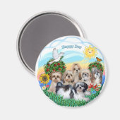 Happy Day mit sechs schicken Tzus Magnet (Vorderseite/Rückseite)