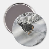 Happy Doberman in Snow Magnet (Vorderseite/Rückseite)