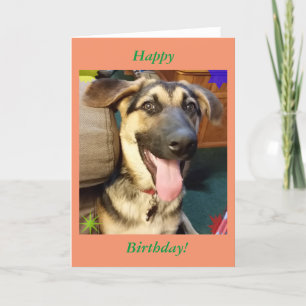 Happy Dog German Shepherd Birthday Card Karte