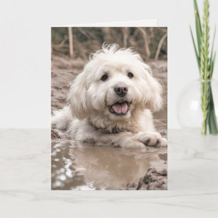 Happy Dog in Mud Puddle Karte