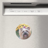 Happy Dog Magnet (In Situ (Geschirrspüler))