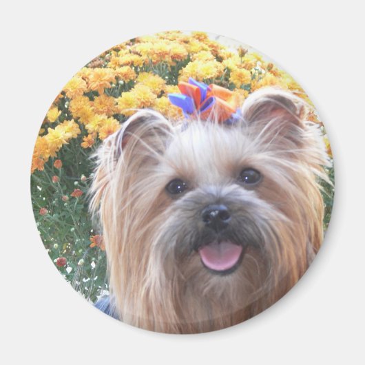 Happy Dog Magnet (Vorne)