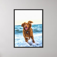 Happy Dog Playing by Ocean Joyful Beach
