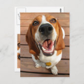 Happy Dog Postkarte (Vorne/Hinten)