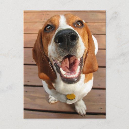 Happy Dog Postkarte (Vorderseite)