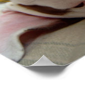 Happy Dog Print Poster (Ecke)