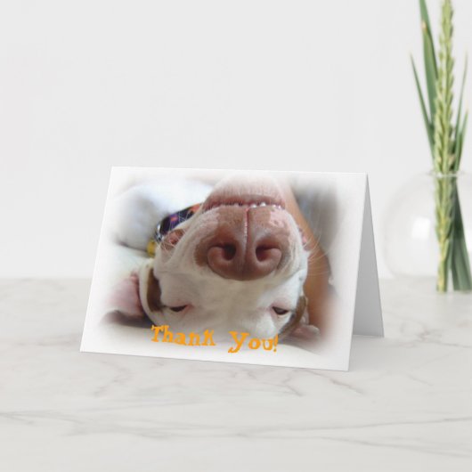 Happy Dog Vielen Dank Dankeskarte (Vorderseite)