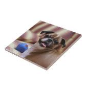 Happy Dog with Toy Fliese (Seite)