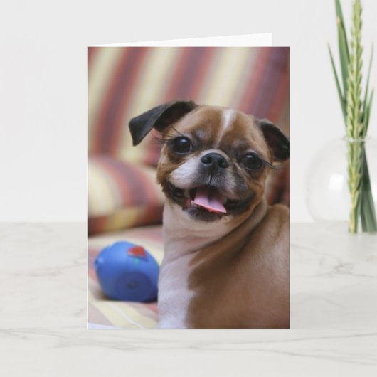 Happy Dog with Toy Karte (Vorderseite)