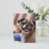 Happy Dog with Toy Postkarte (Stehend Vorderseite)