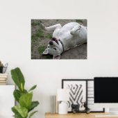 Happy Dogo Argentino Girl Poster (Heimbüro)