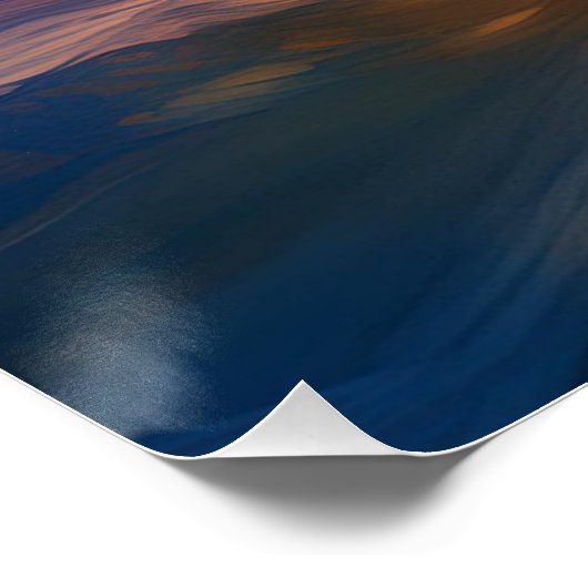 Happy Dolphin Poster (Ecke)