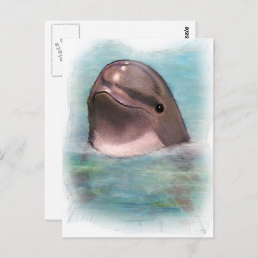 HAPPY DOLPHIN POSTKARTE (Vorne/Hinten)