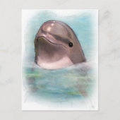HAPPY DOLPHIN POSTKARTE (Vorderseite)