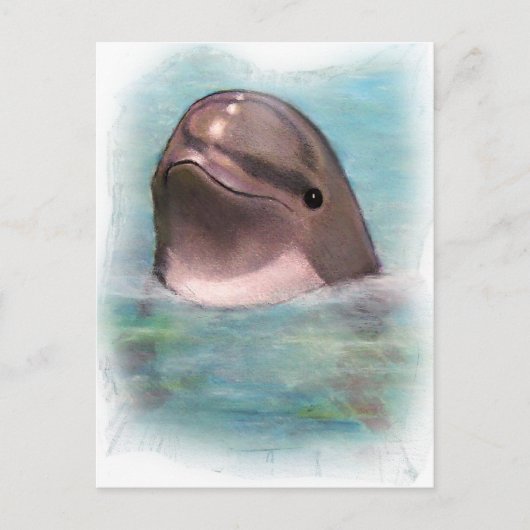 HAPPY DOLPHIN POSTKARTE (Vorderseite)
