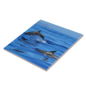 Happy Dolphins Fliese (Seite)
