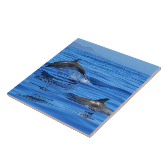 Happy Dolphins Fliese (Seite)