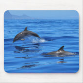 Happy Dolphins Mousepad (Vorne)