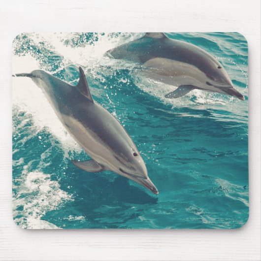 Happy Dolphins Mousepad (Vorne)