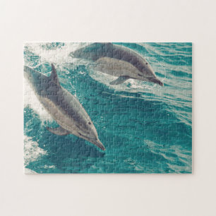 Happy Dolphins Puzzle