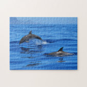 Happy Dolphins Puzzle (Horizontal)