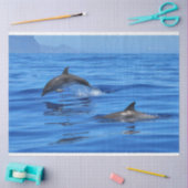 Happy Dolphins Seidenpapier (Basteln)