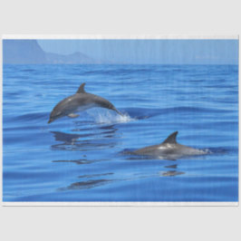 Happy Dolphins Seidenpapier