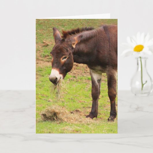 Happy Donkey Birthday Karte (Kleine Pflanze)