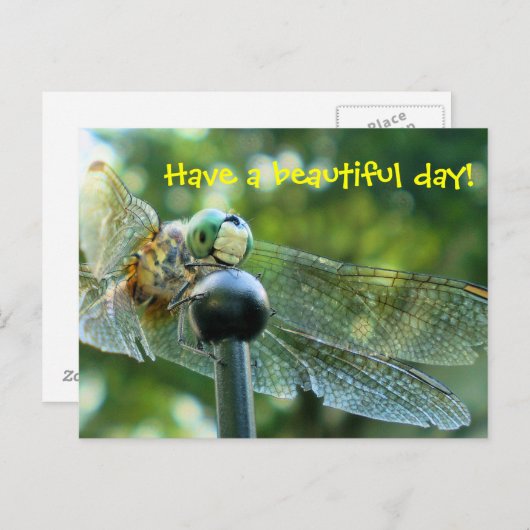 Happy Dragonfly Postkarte (Vorne/Hinten)