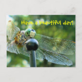Happy Dragonfly Postkarte (Vorderseite)
