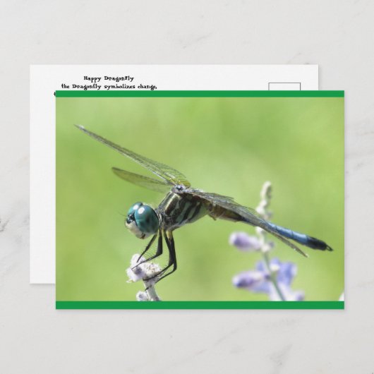 Happy DragonFly Postkarte (Vorne/Hinten)