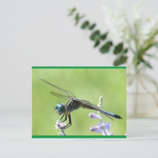 Happy DragonFly Postkarte (Stehend Vorderseite)